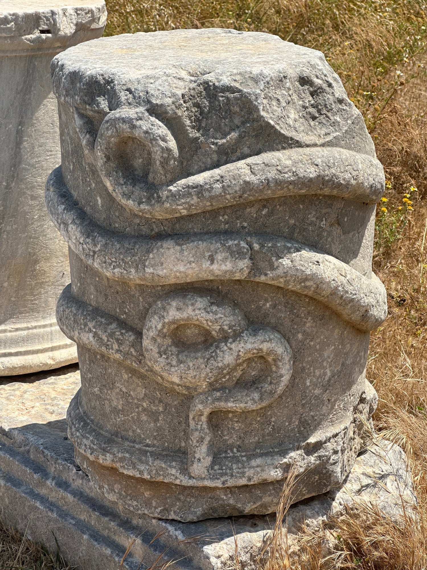 Decorative snake motif.