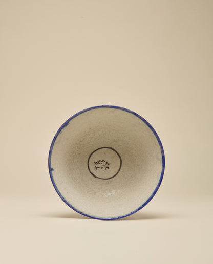Qajar Bowl VI